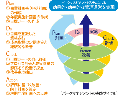 実践cycle