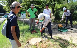 樹木管理技術開発のための枯損原因調査