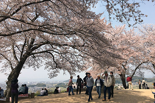 国営飛鳥歴史公園1