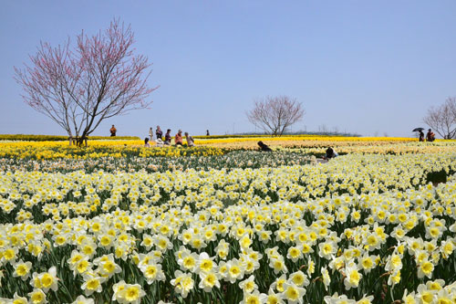 国営備北丘陵公園1