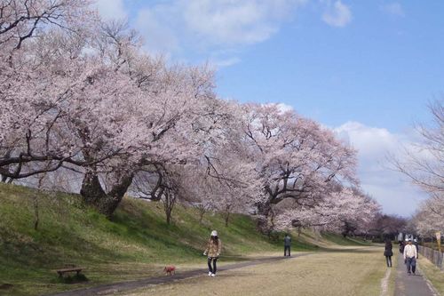 大野極楽寺公園1