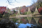 Higo-Hosokawa Garden