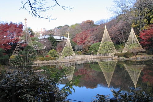 肥後細川庭園