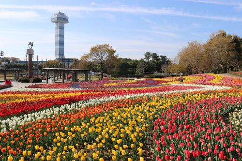 国営木曽三川公園1