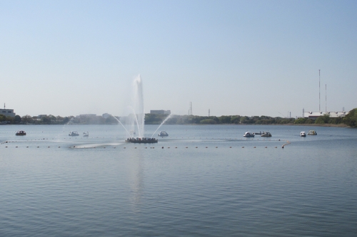 久喜菖蒲公園