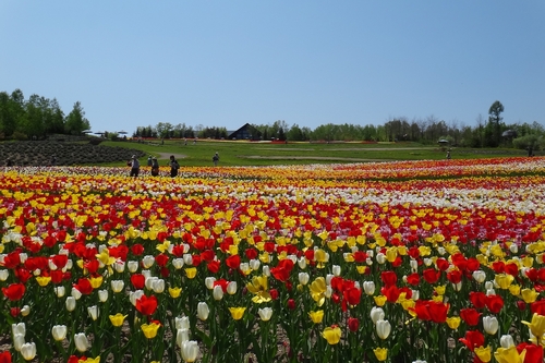 滝野 すずらん 公園