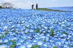 Uminonakamichi Seaside Park