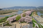 淀川河川公園