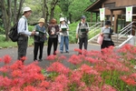 大人のための植物・文化講座