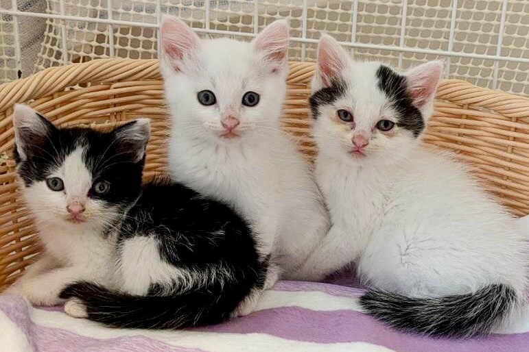 職員紹介３人目写真4