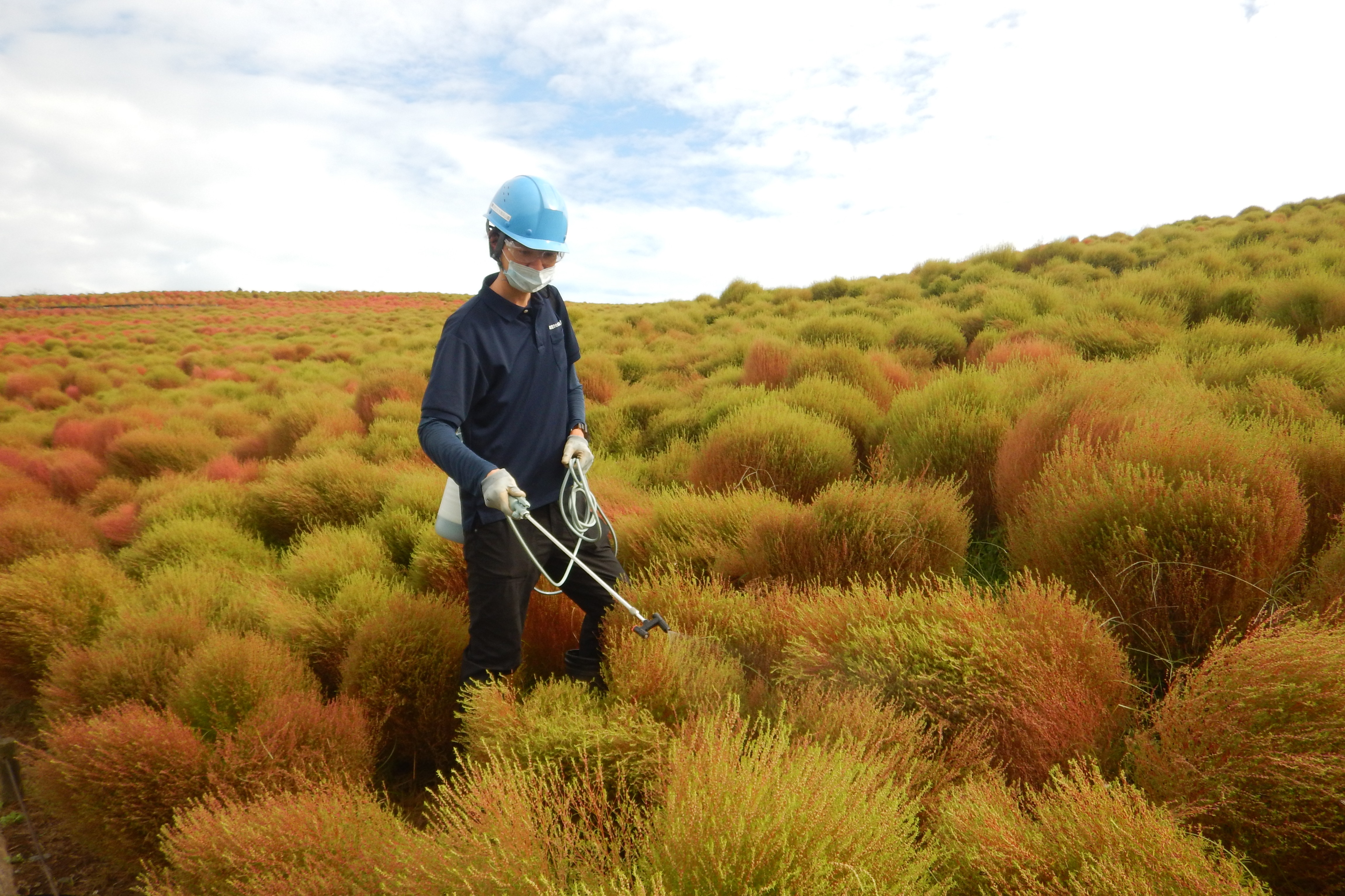 職員紹介6人目写真2