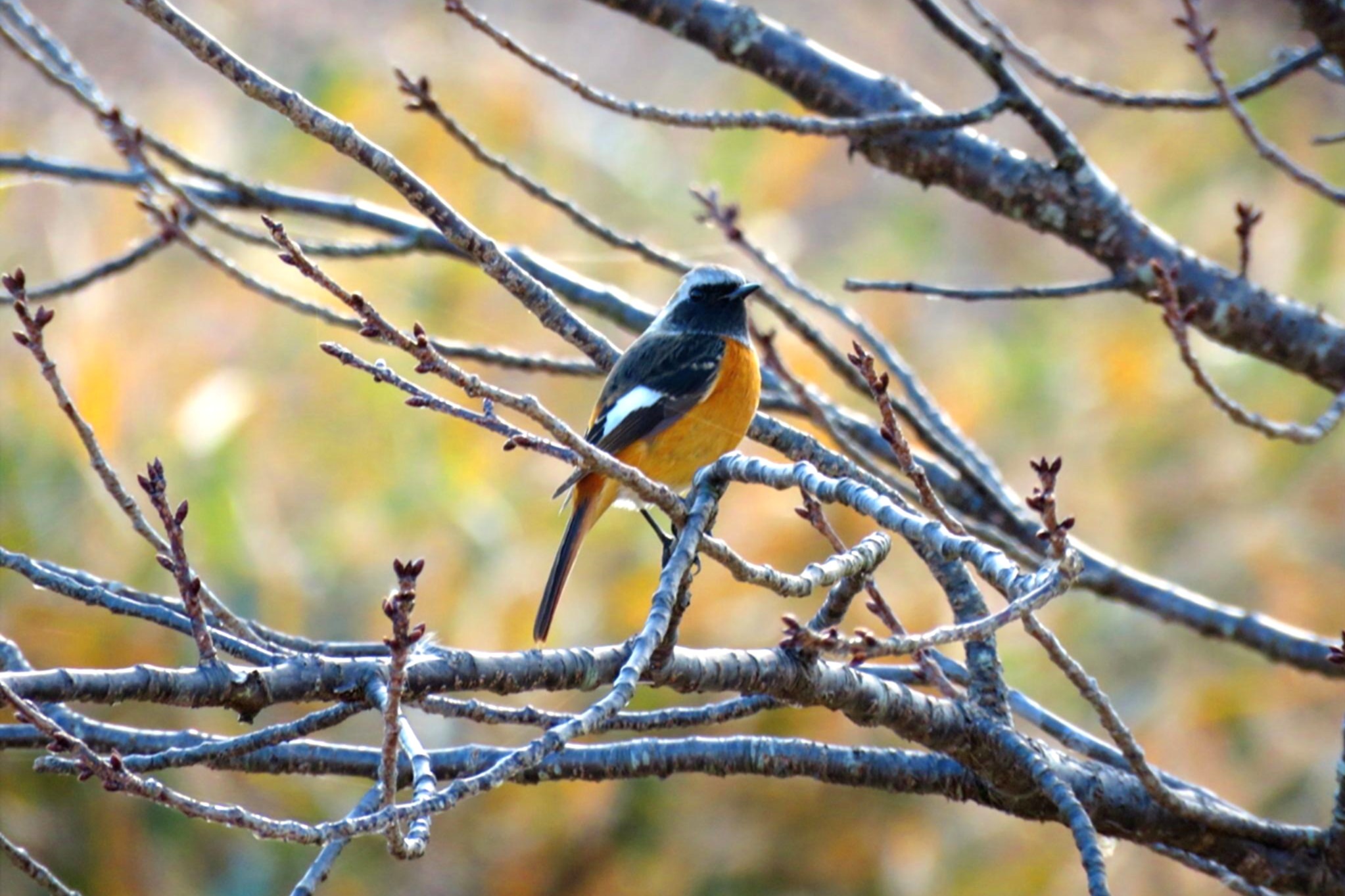 職員紹介７人目写真4