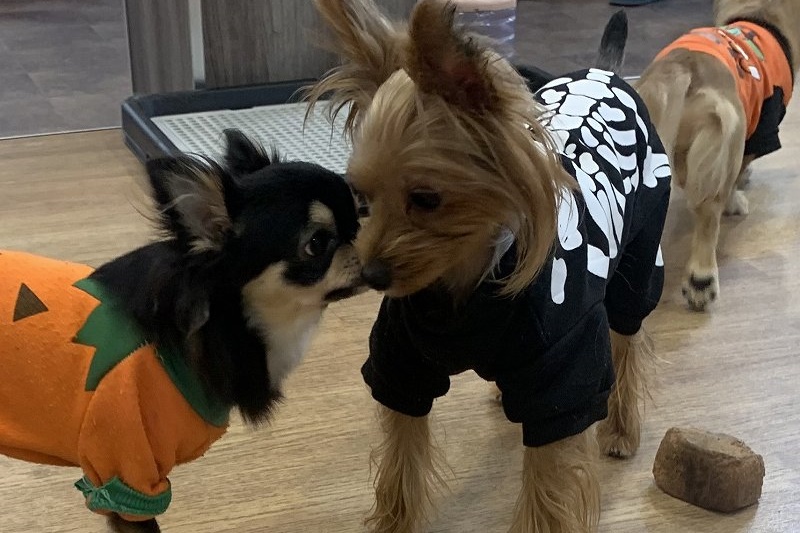 職員紹介４人目写真4